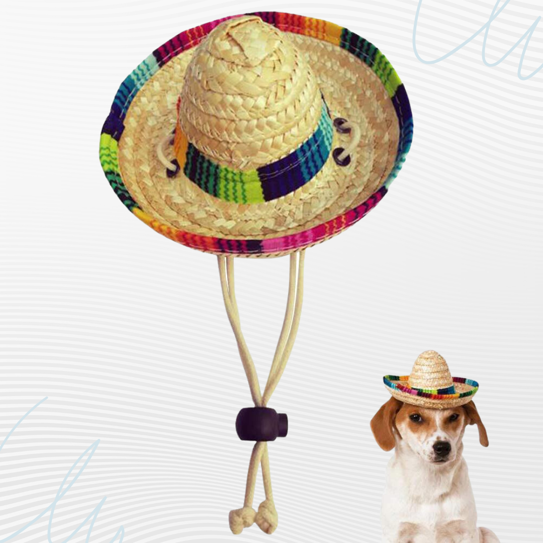 POPETPOP 3pcs Boys Hats Mexican Hat Mini Hat Pets Straw Hat Dog