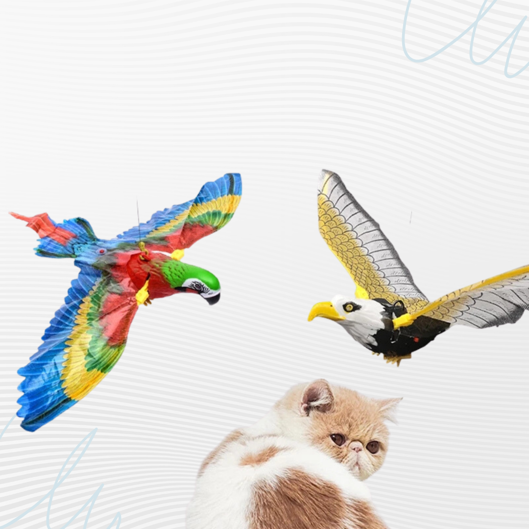 Fun Electric Bird Toy