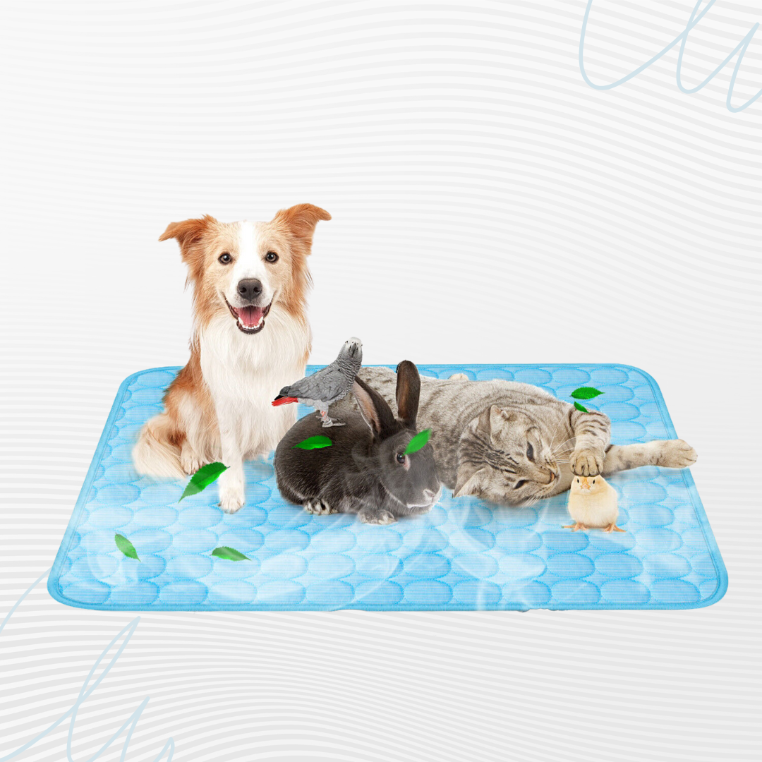 Pet Ice Cooling Mat