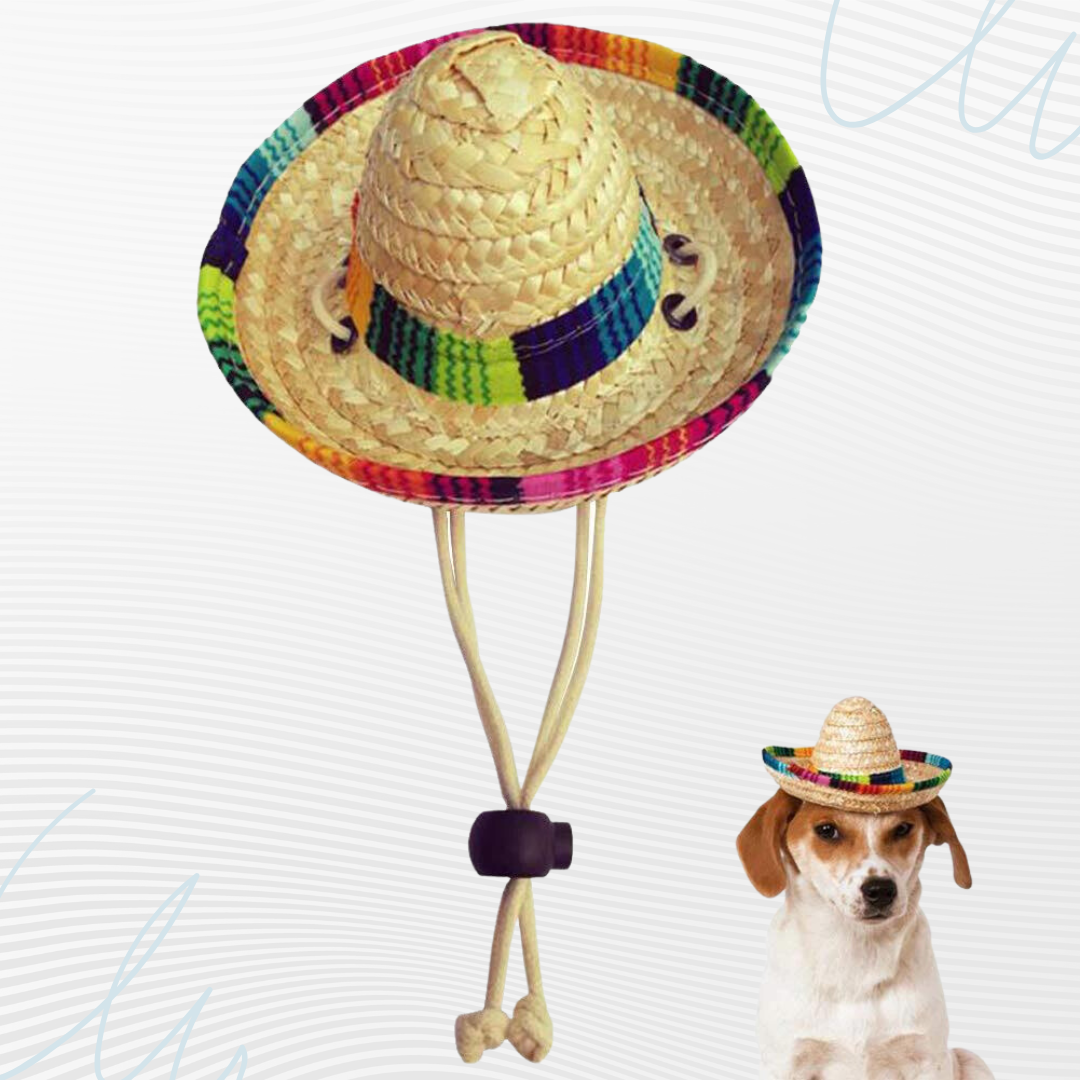 Pet Mexican Hat