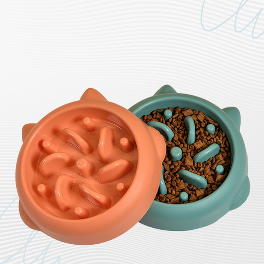 Slow Feeder&Anti Choking Pets Bowl