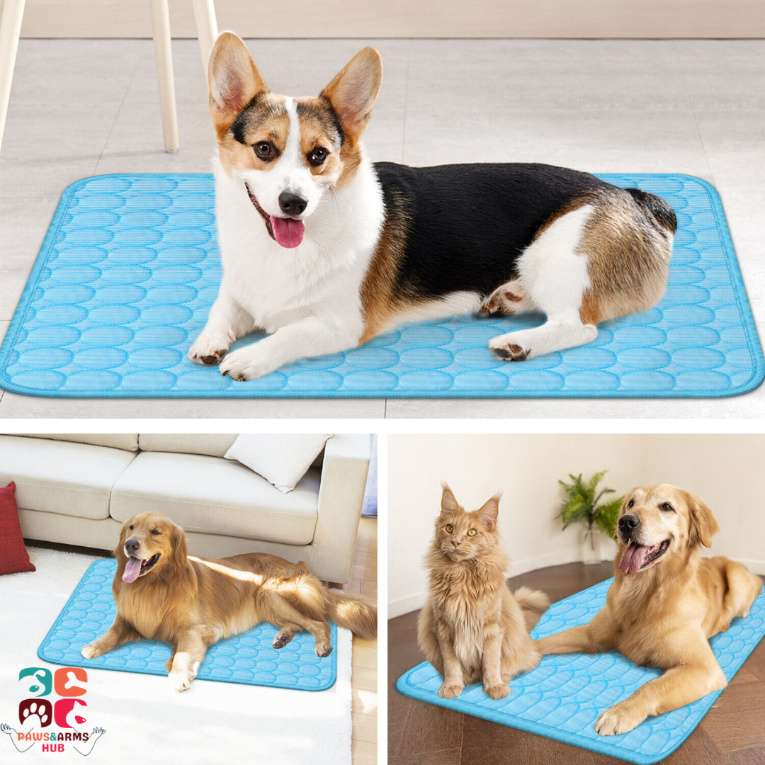 Pet Ice Cooling Mat