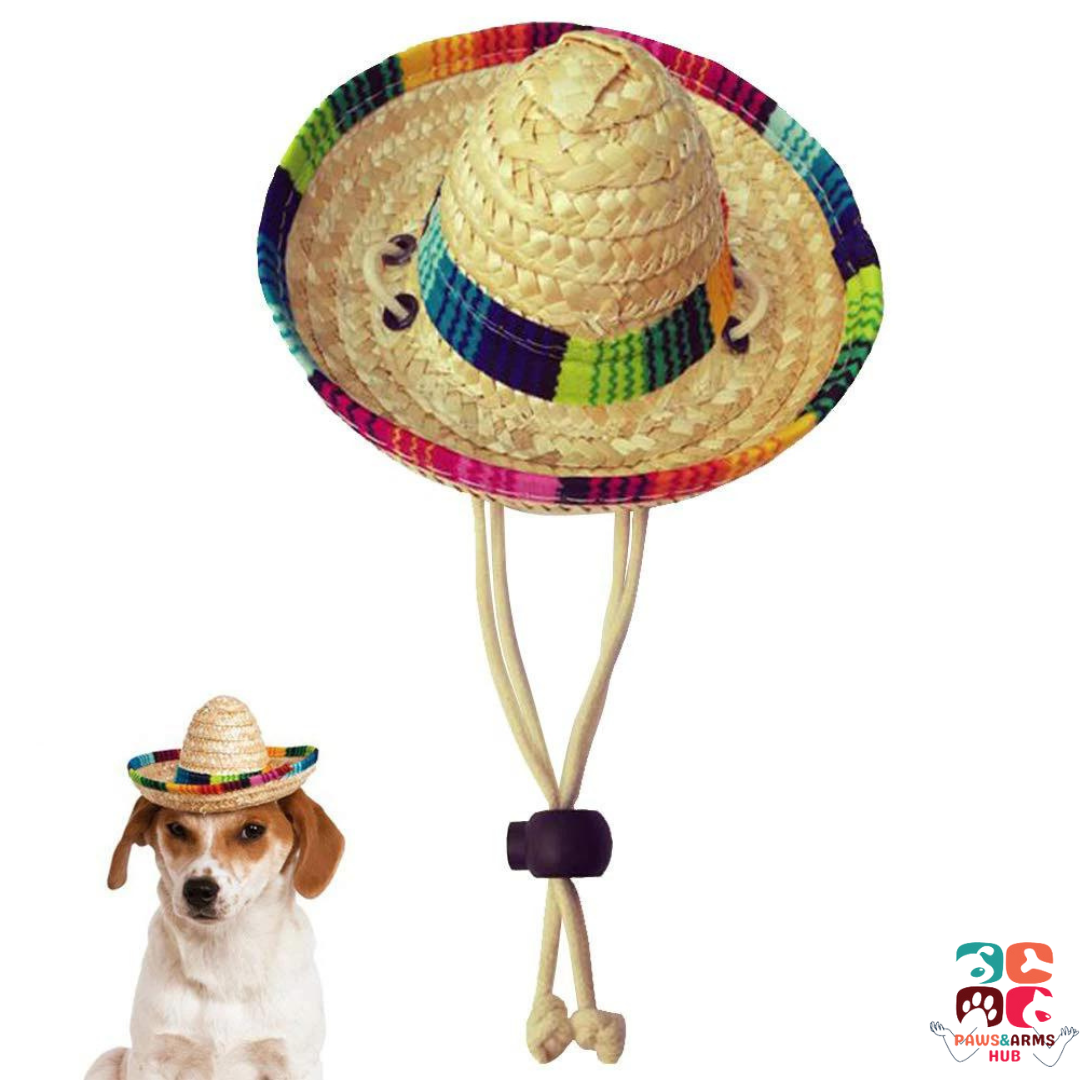 Pet Mexican Hat