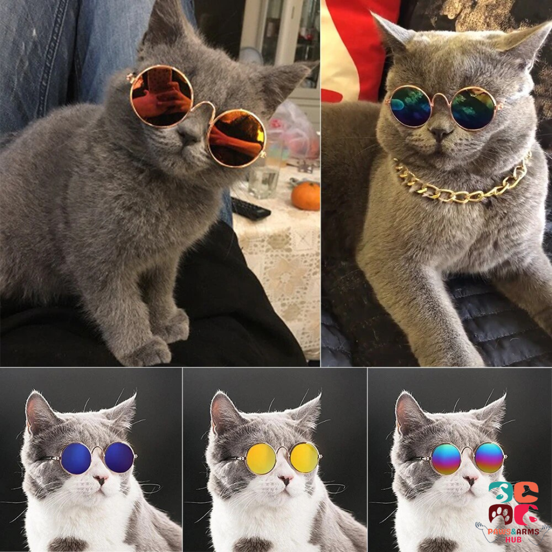 Dog&Cat Sunglasses