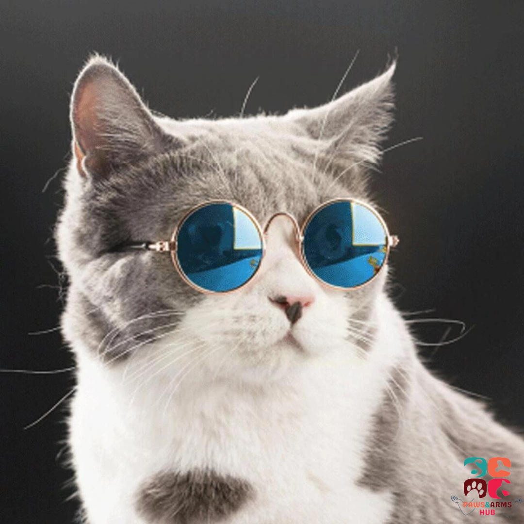 Dog&Cat Sunglasses