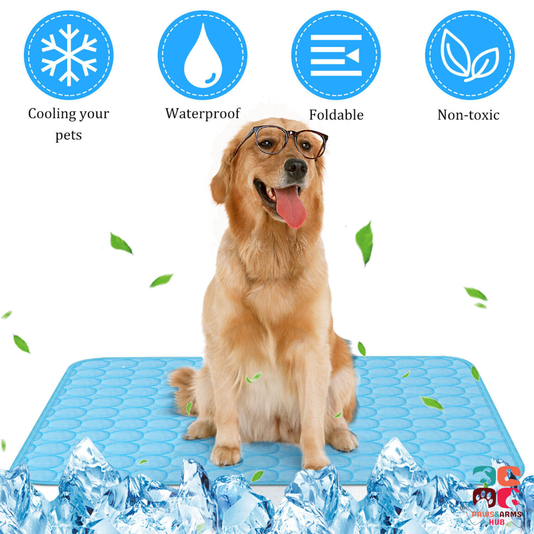 Pet Ice Cooling Mat