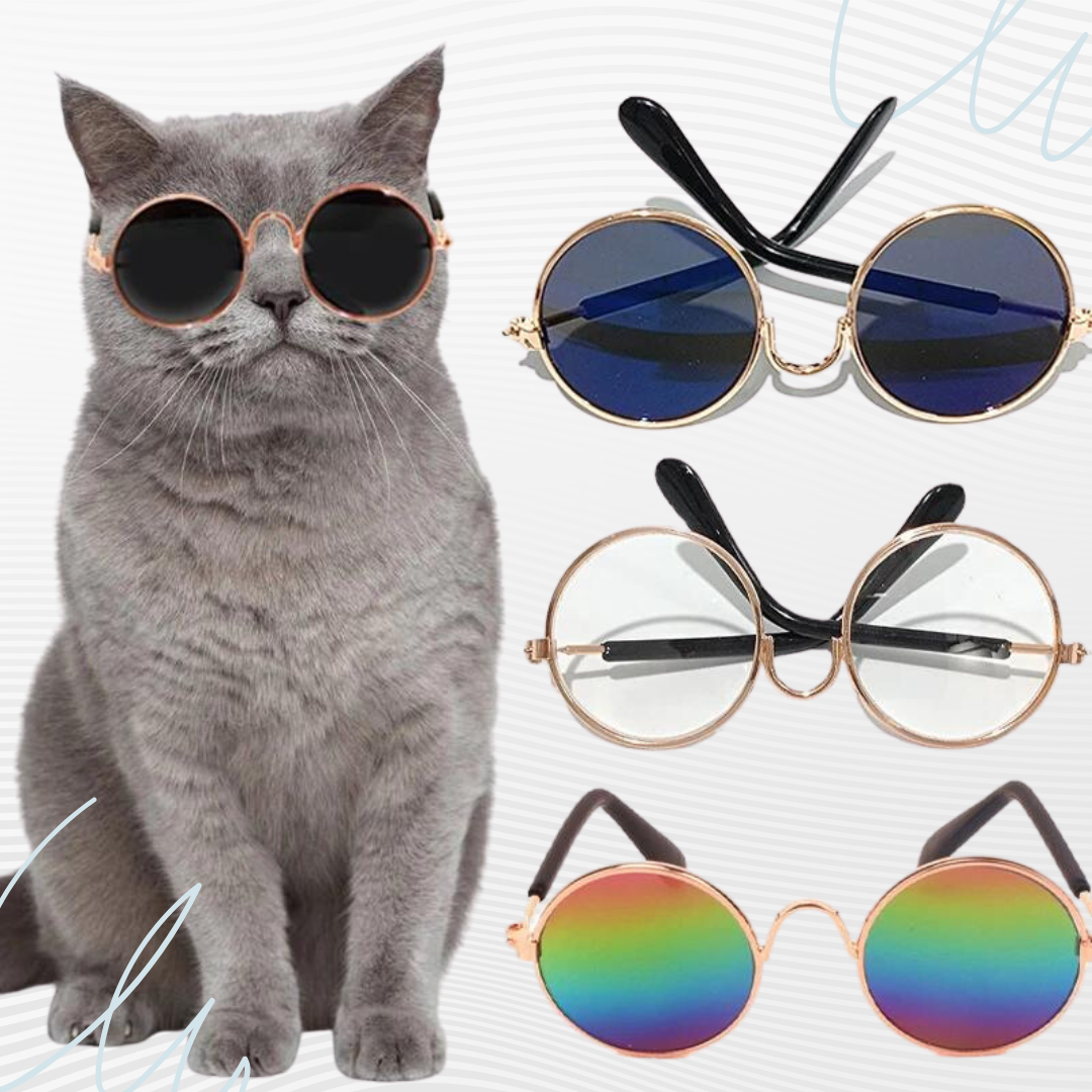 Dog&Cat Sunglasses