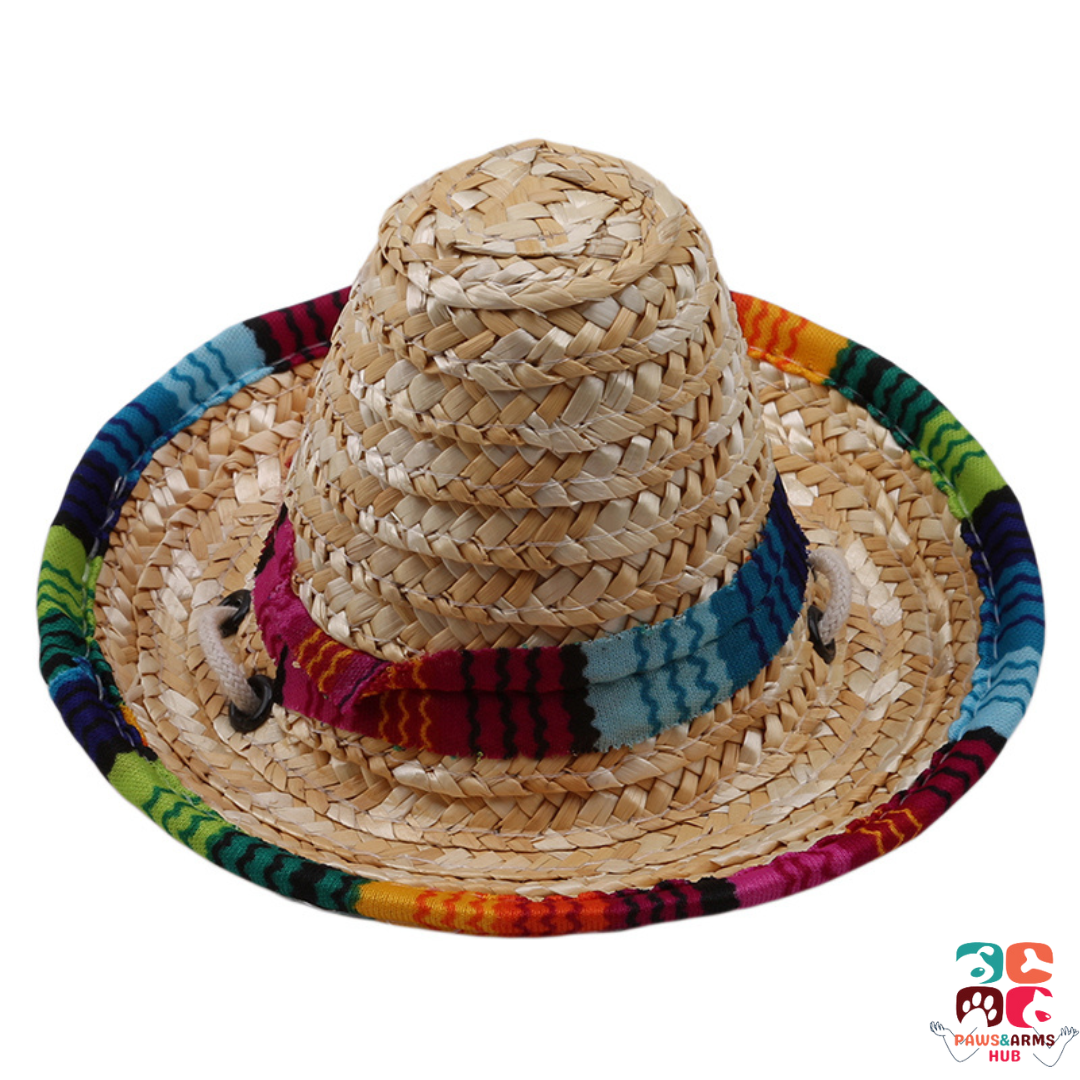 Pet Mexican Hat