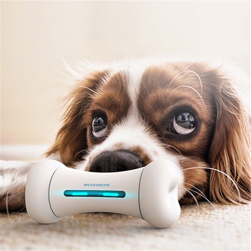 Smart Bones For Pets