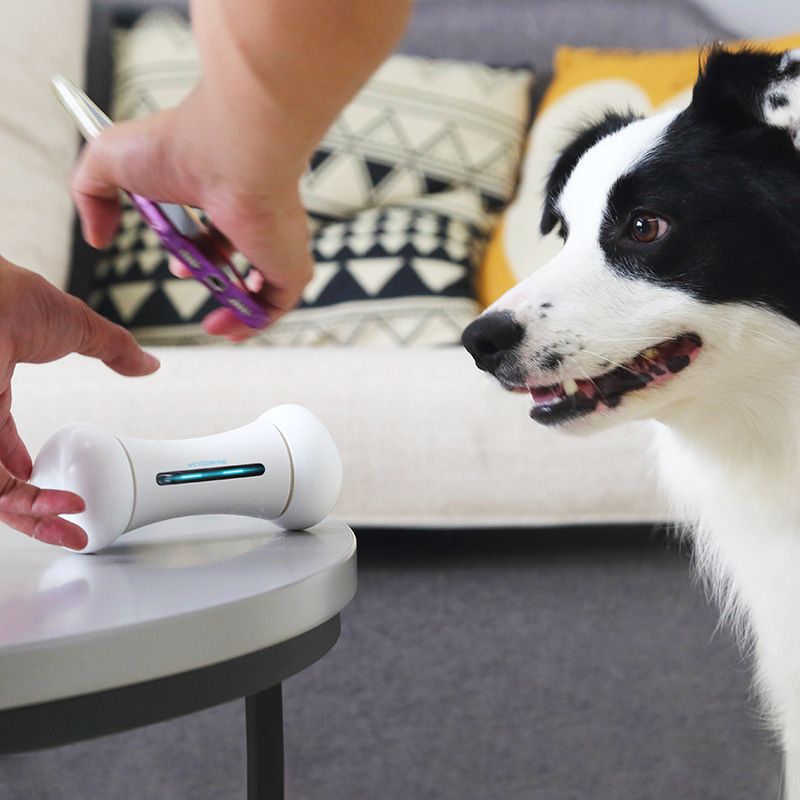 Smart Bones For Pets